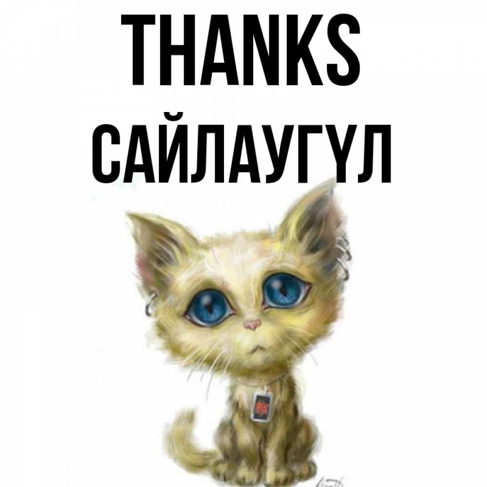 Greetings card с именем, САЙЛАУГҮЛ Thanks рисованный кот благодарит вас Greetings with text for free download 