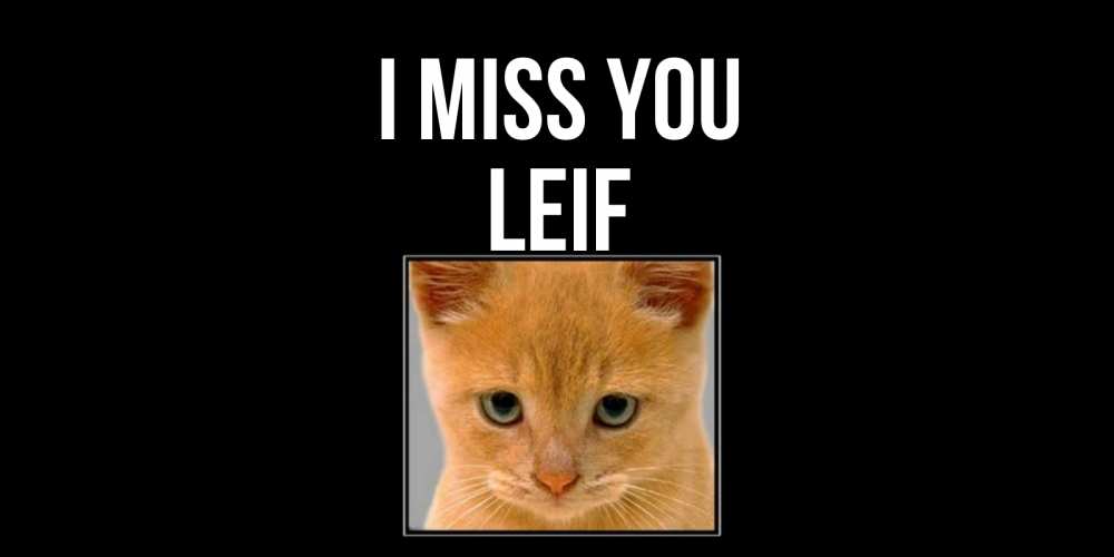 Greetings card с именем, Leif I miss you открытки рыжий котенок скучает по тебе Greetings with text for free download 