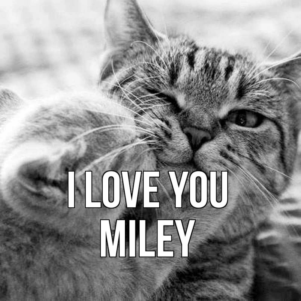 Greetings card с именем, Miley I love you коты Greetings with text for free download 