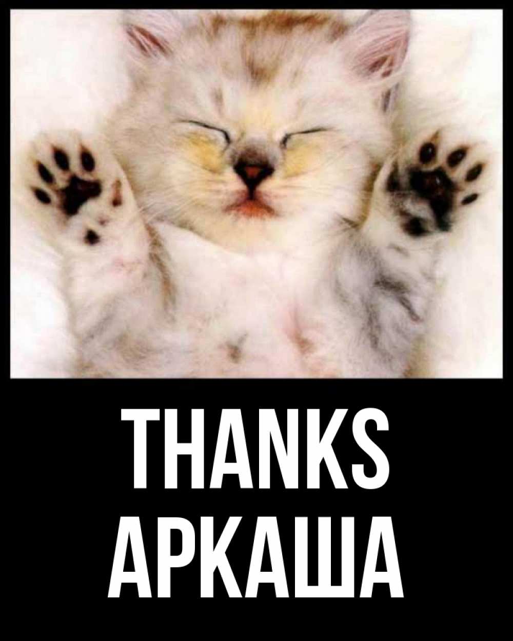 Greetings card с именем, Аркаша Thanks маленький котенок Greetings with text for free download 