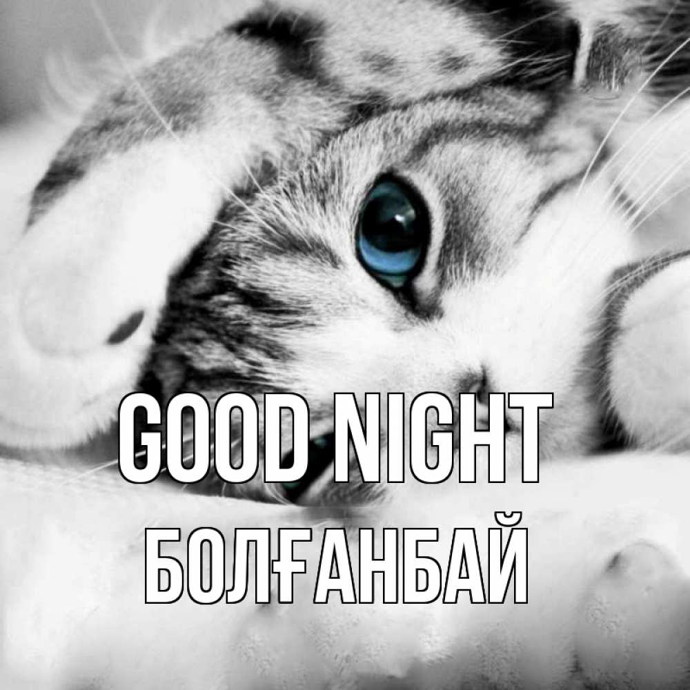 Greetings card с именем, Болғанбай Good night кот устал Greetings with text for free download 