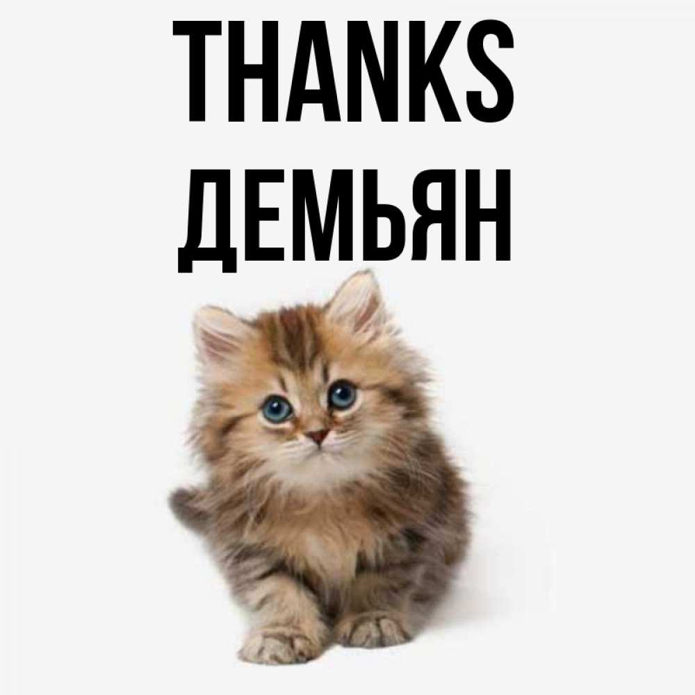 Greetings card с именем, Демьян Thanks пушистый котик Greetings with text for free download 