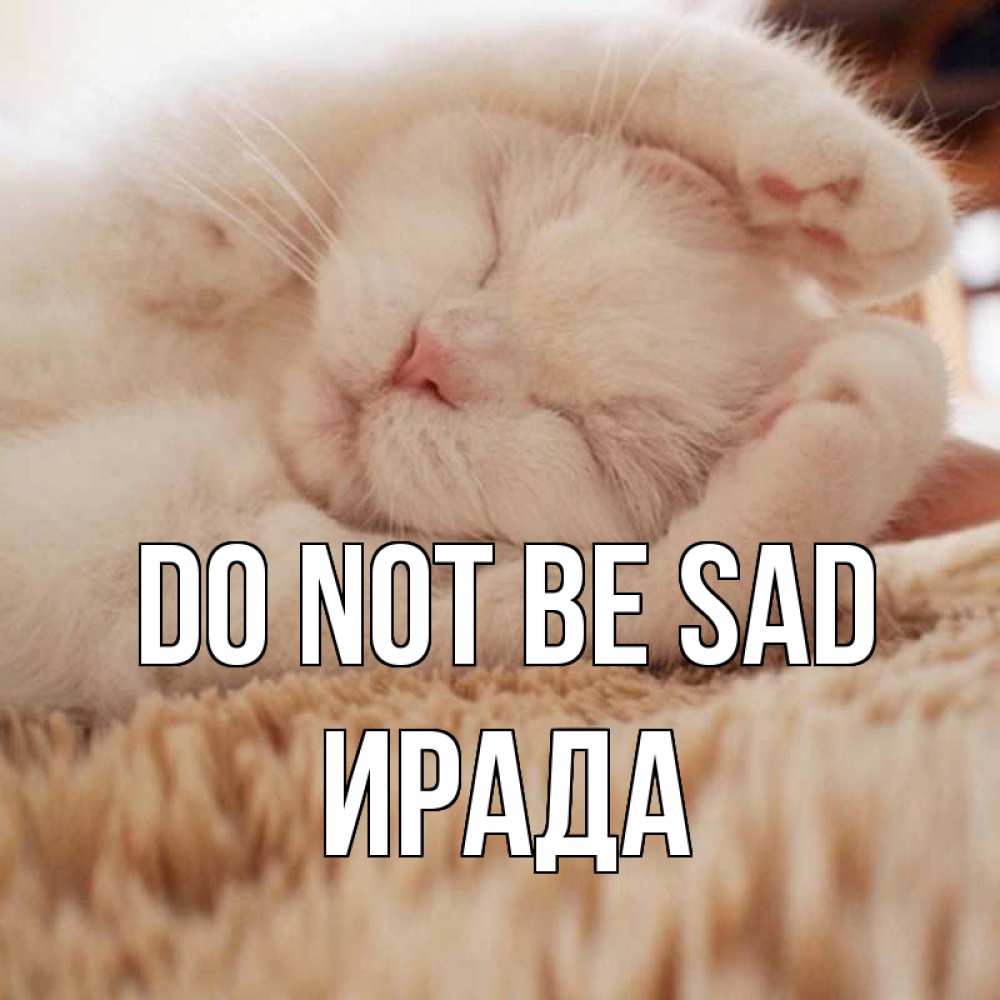 Greetings card с именем, ИРАДА Do not be sad белый кот Greetings with text for free download 