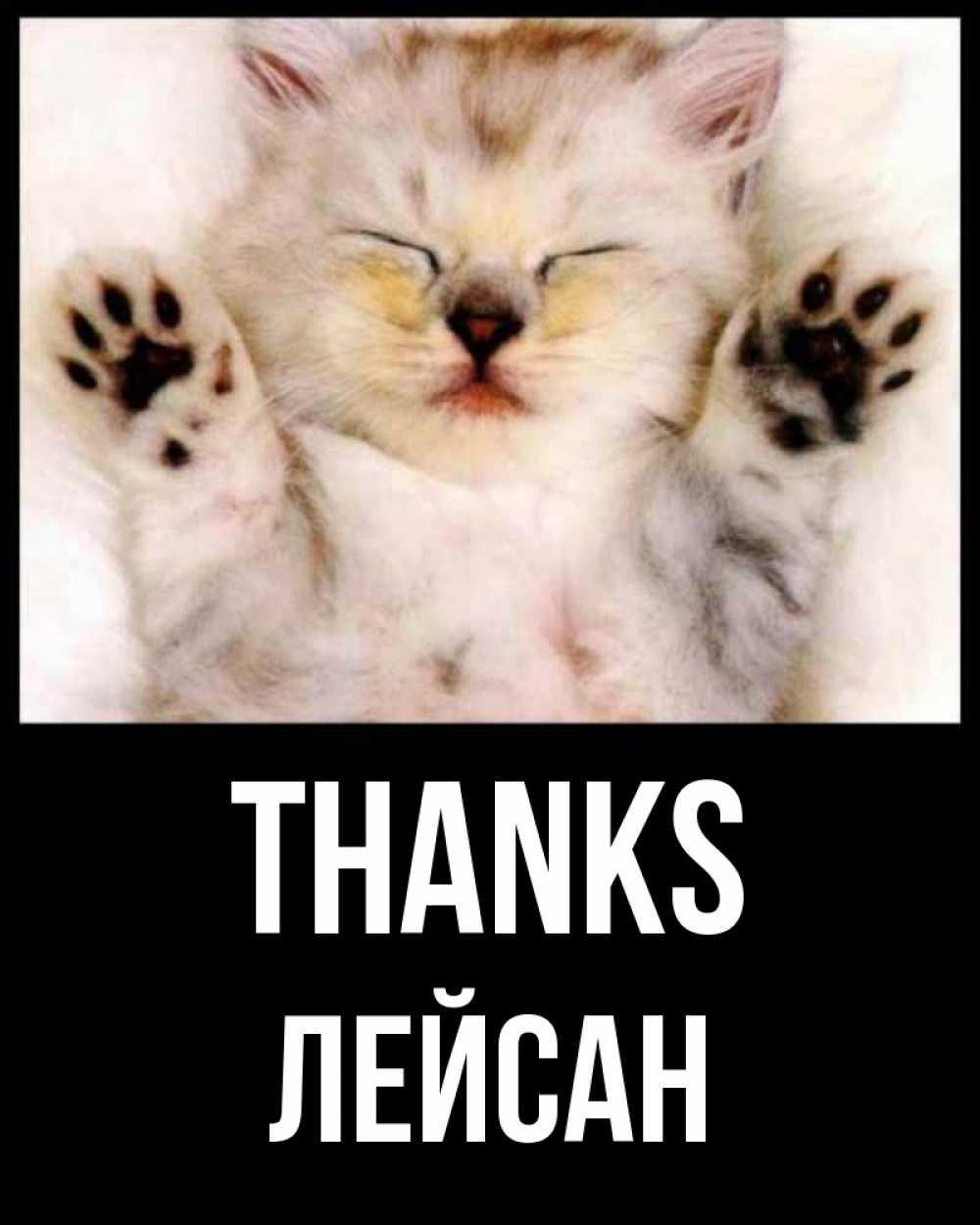Greetings card с именем, Лейсан Thanks маленький котенок Greetings with text for free download 