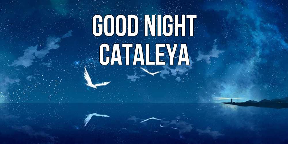 Greetings card с именем, Cataleya Good night птицы летят на фоне ночного неба Greetings with text for free download 