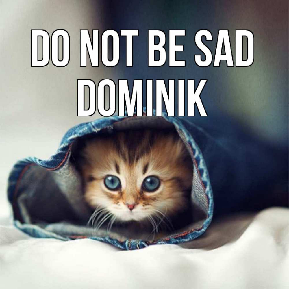 Greetings card с именем, Dominik Do not be sad кот в одежде Greetings with text for free download 