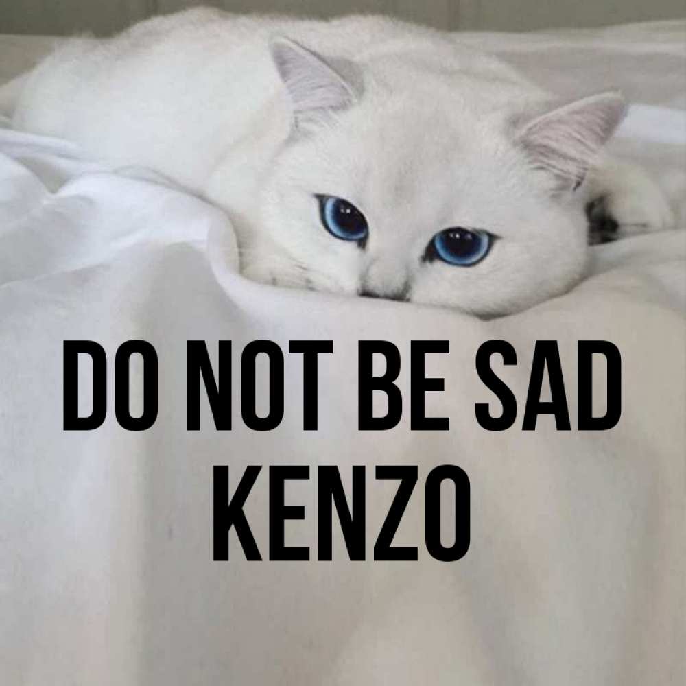 Greetings card с именем, Kenzo Do not be sad Голубоглазая кошка Greetings with text for free download 