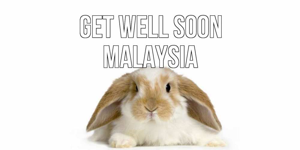 Greetings card с именем, Malaysia Get well soon вислоухий кролик белого и коричневого цвета Greetings with text for free download 