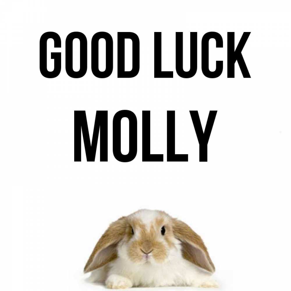 Greetings card с именем, Molly Good luck открытки с произвольным текстом который можно вставить в открытку и создать ее самостоятельно бесплатно онлайн Greetings with text for free download 