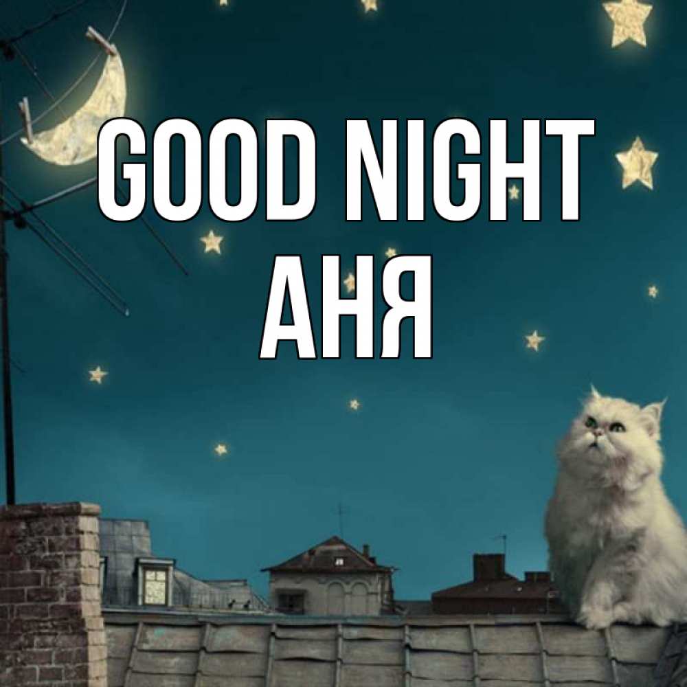 Greetings card с именем, Аня Good night белый кот сидит на крыше Greetings with text for free download 