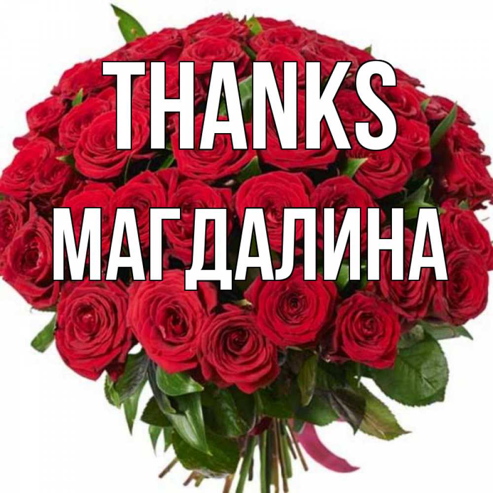 Greetings card с именем, Магдалина Thanks букет красных роз Greetings with text for free download 