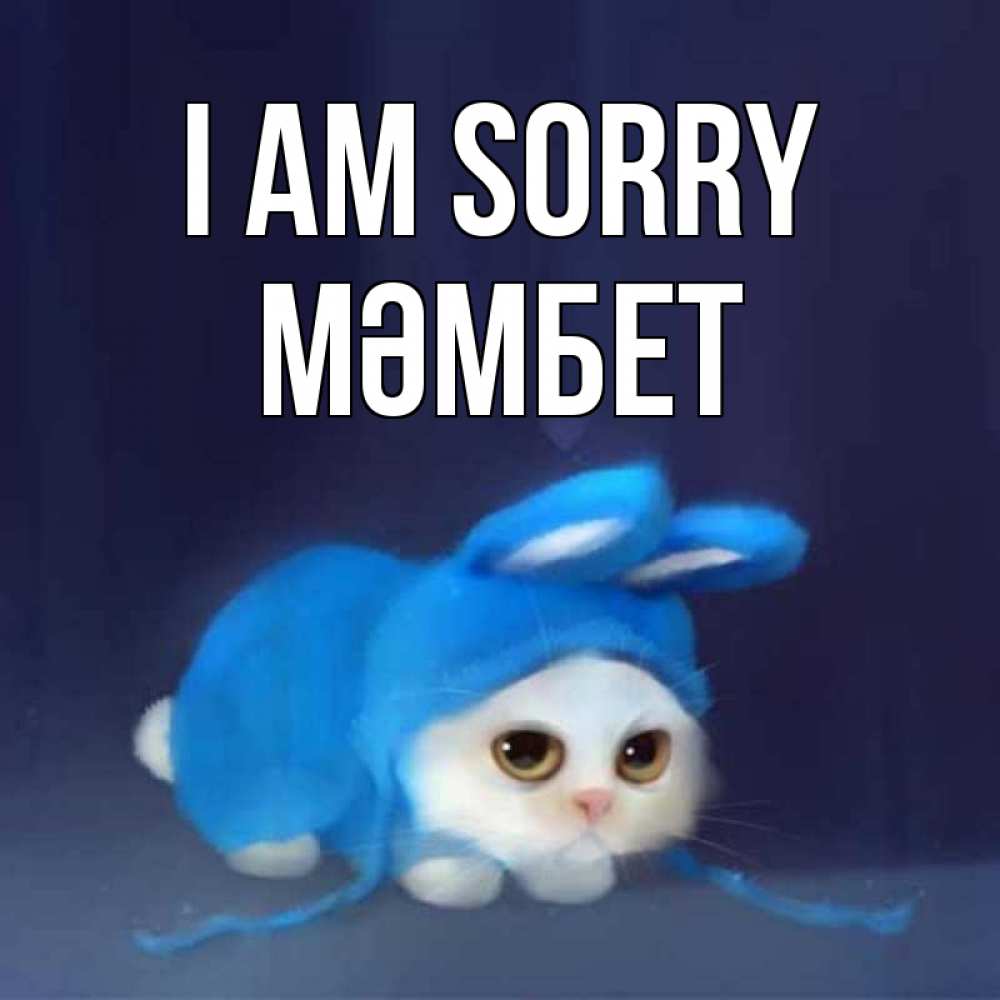 Greetings card с именем, МӘМБЕТ I am sorry невинный котозай просит прощения Greetings with text for free download 