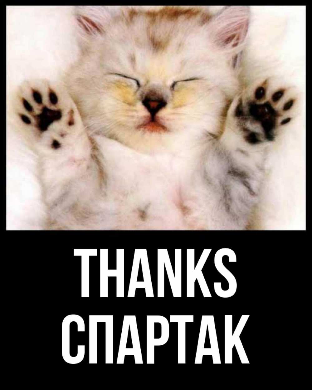 Greetings card с именем, Спартак Thanks маленький котенок Greetings with text for free download 