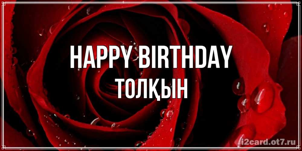 Greetings card с именем, ТОЛҚЫН Happy Birthday крупная бордовая роза Greetings with text for free download 