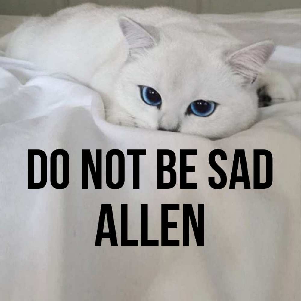 Greetings card с именем, Allen Do not be sad Голубоглазая кошка Greetings with text for free download 