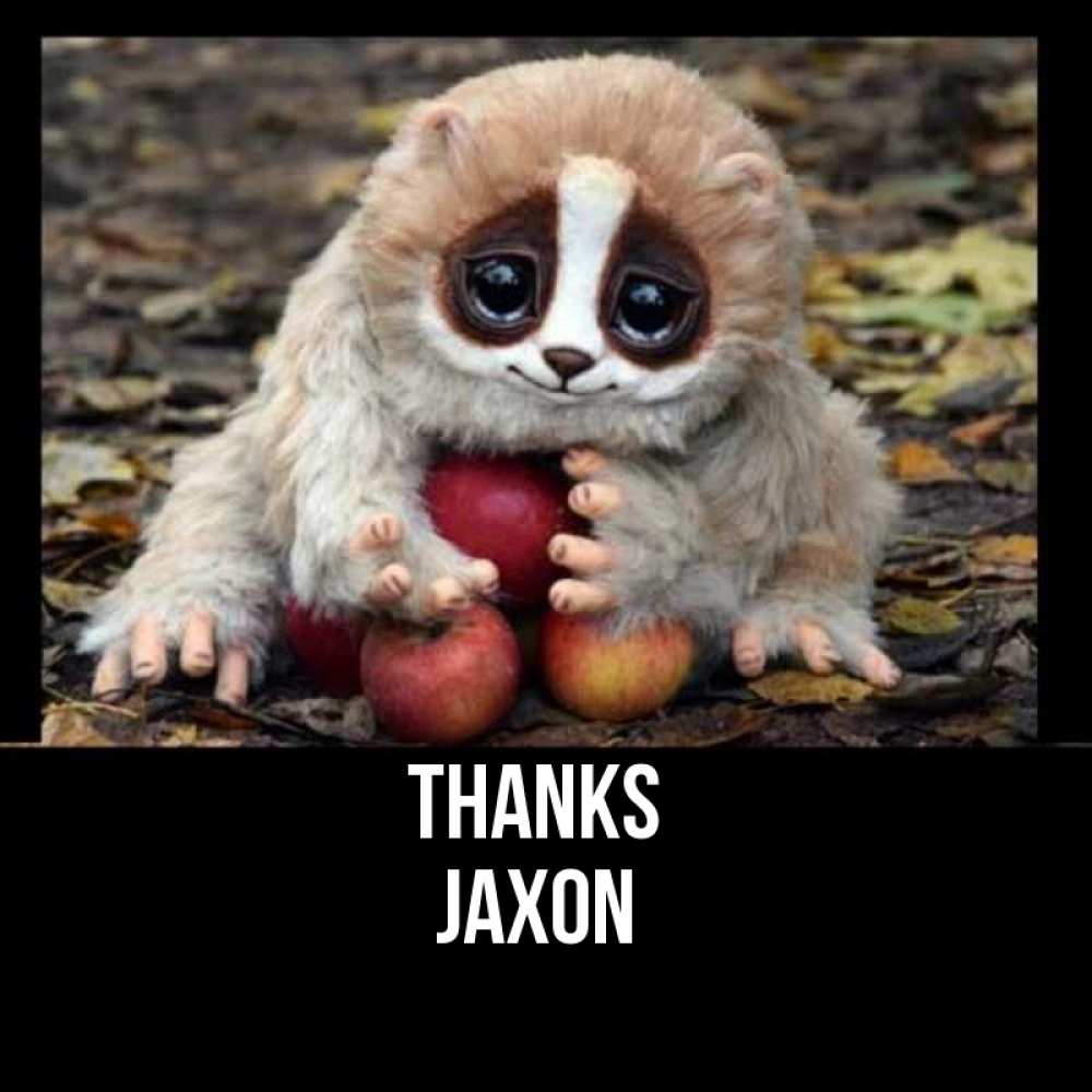 Greetings card с именем, Jaxon Thanks прикольное животное Greetings with text for free download 