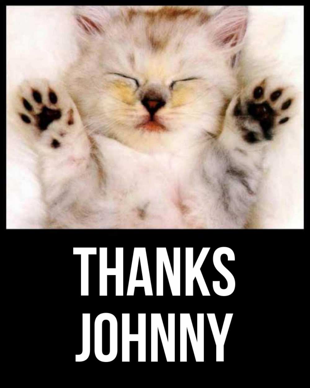 Greetings card с именем, Johnny Thanks маленький котенок Greetings with text for free download 