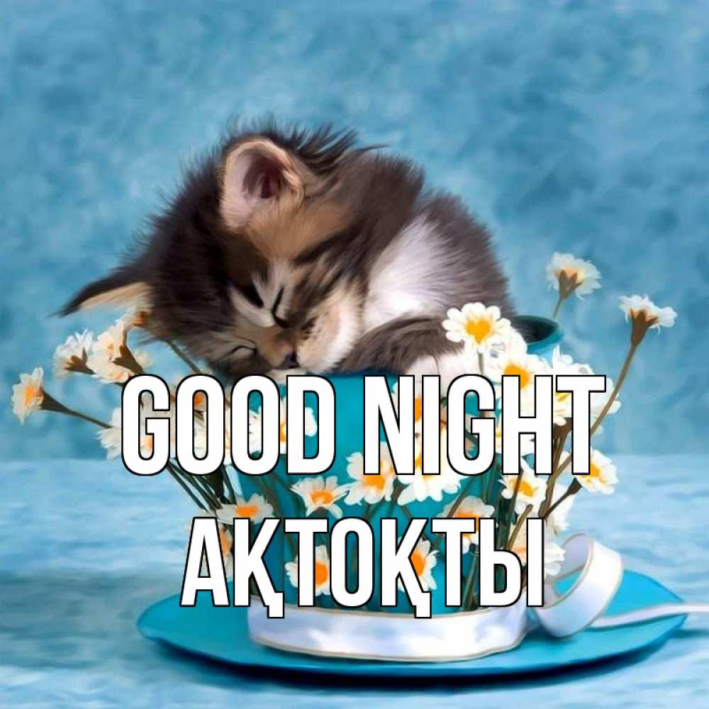 Greetings card с именем, АҚТОҚТЫ Good night котенок спит в кружке с блюдцем Greetings with text for free download 