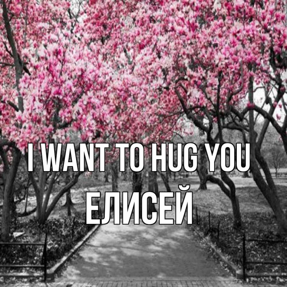 Greetings card с именем, Елисей I want to hug you обработанное фото Greetings with text for free download 