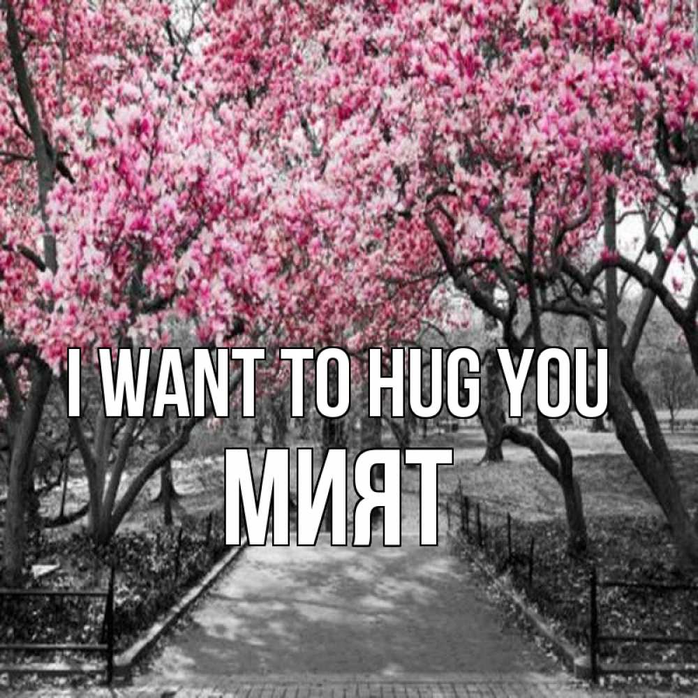 Greetings card с именем, МИЯТ I want to hug you обработанное фото Greetings with text for free download 