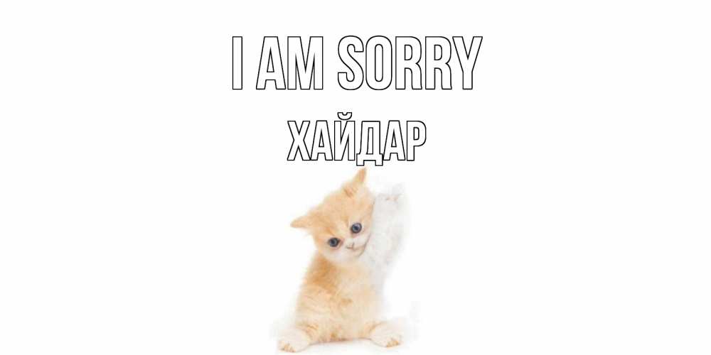 Greetings card с именем, ХАЙДАР I am sorry кот Greetings with text for free download 