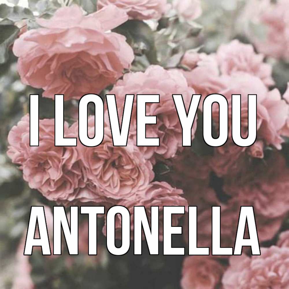 Greetings card с именем, Antonella I love you розы 3 Greetings with text for free download 