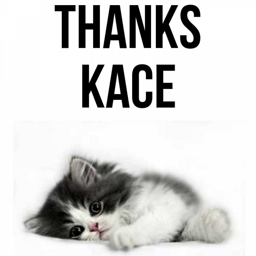 Greetings card с именем, Kace Thanks черный и белый кот Greetings with text for free download 