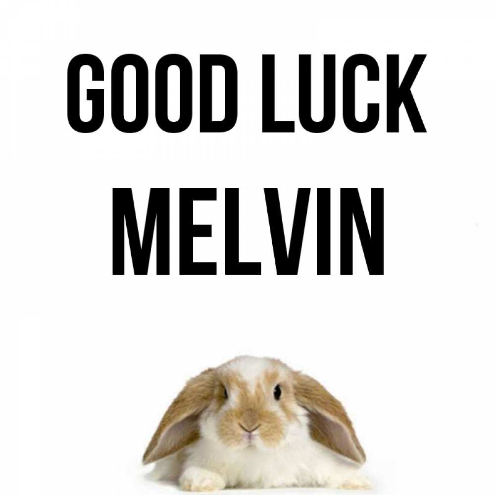 Greetings card с именем, Melvin Good luck открытки с произвольным текстом который можно вставить в открытку и создать ее самостоятельно бесплатно онлайн Greetings with text for free download 