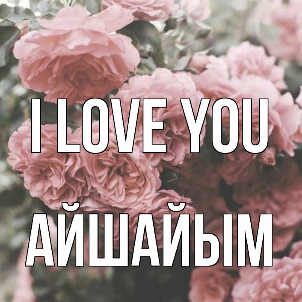 Greetings card с именем, АЙШАЙЫМ I love you розы 3 Greetings with text for free download 