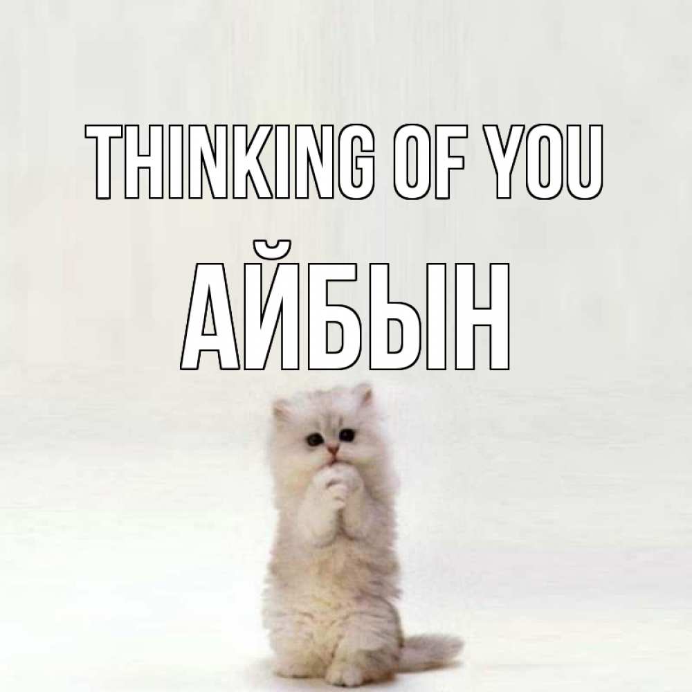 Greetings card с именем, Айбын Thinking of you кот стоит на задних лапах Greetings with text for free download 