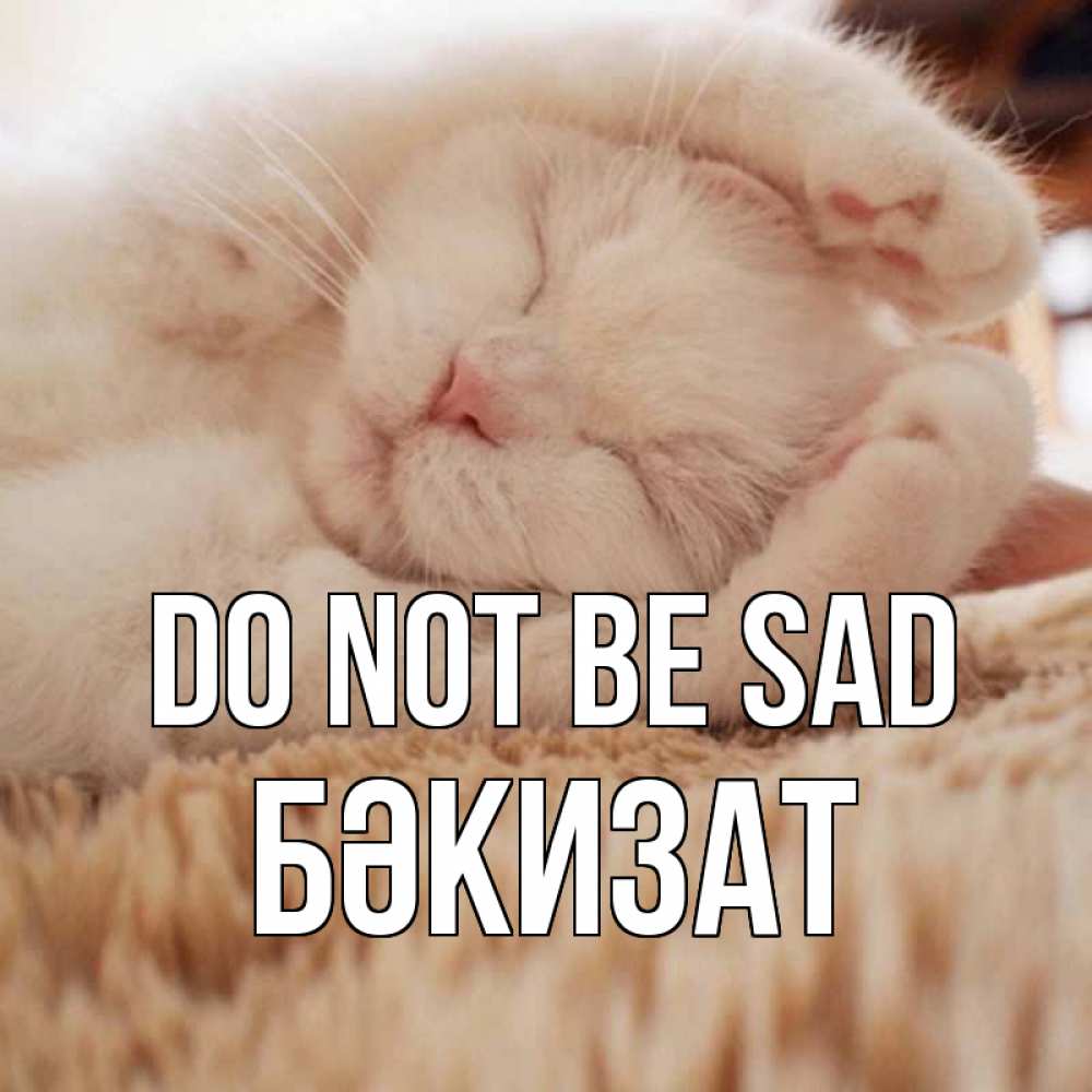 Greetings card с именем, БӘКИЗАТ Do not be sad белый кот Greetings with text for free download 