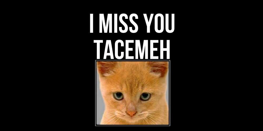 Greetings card с именем, ТАСЕМЕН I miss you открытки рыжий котенок скучает по тебе Greetings with text for free download 