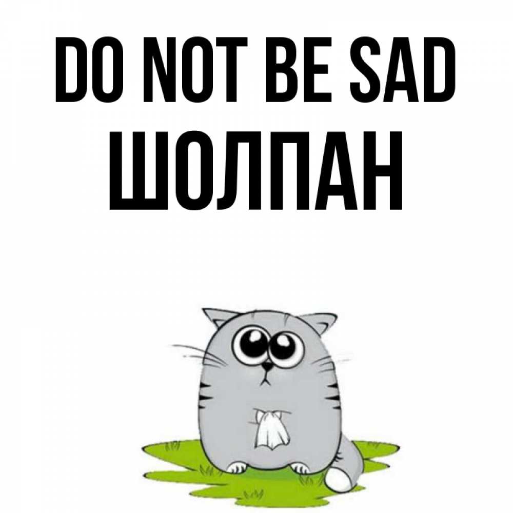 Greetings card с именем, ШОЛПАН Do not be sad грустный котяра Greetings with text for free download 