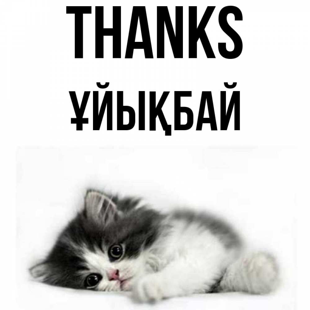 Greetings card с именем, ҰЙЫҚБАЙ Thanks черный и белый кот Greetings with text for free download 