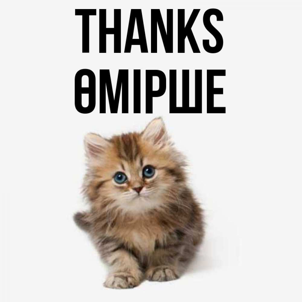 Greetings card с именем, ӨМІРШЕ Thanks пушистый котик Greetings with text for free download 