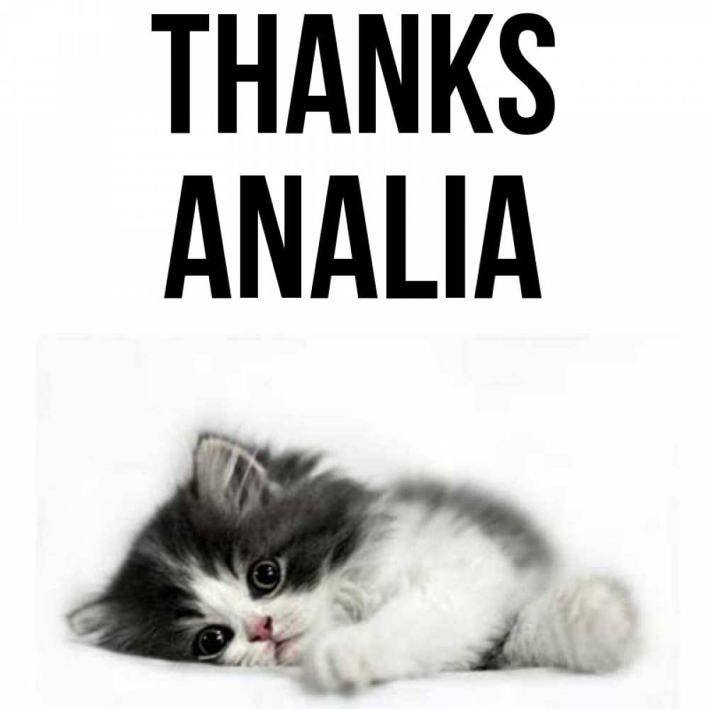 Greetings card с именем, Analia Thanks черный и белый кот Greetings with text for free download 