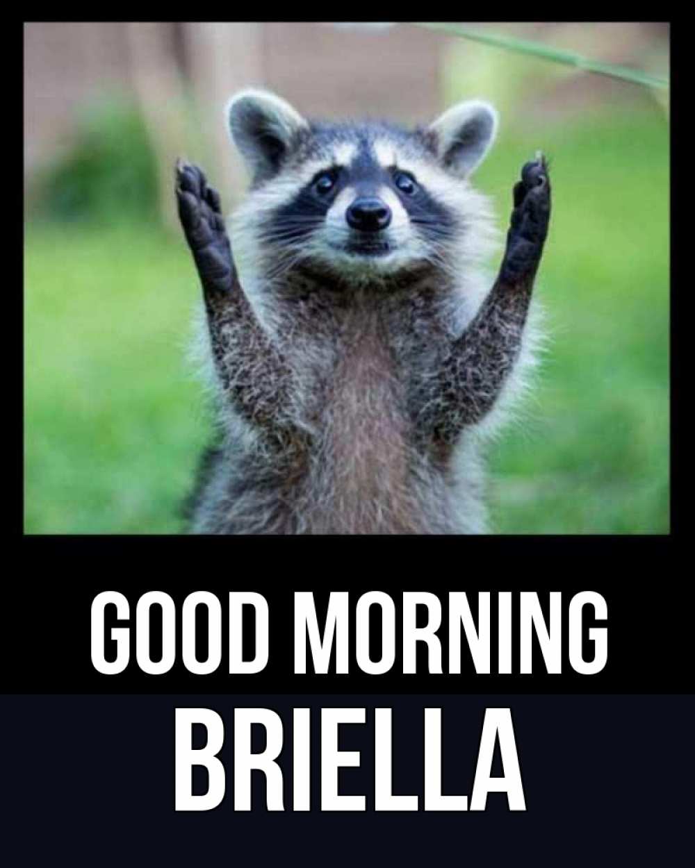 Greetings card с именем, Briella Good morning хорошее настроение утречком Greetings with text for free download 