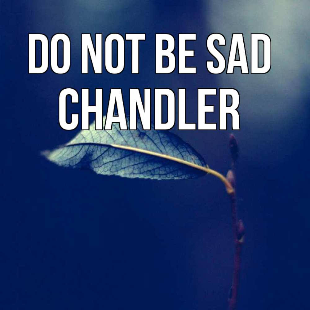Greetings card с именем, Chandler Do not be sad растение Greetings with text for free download 
