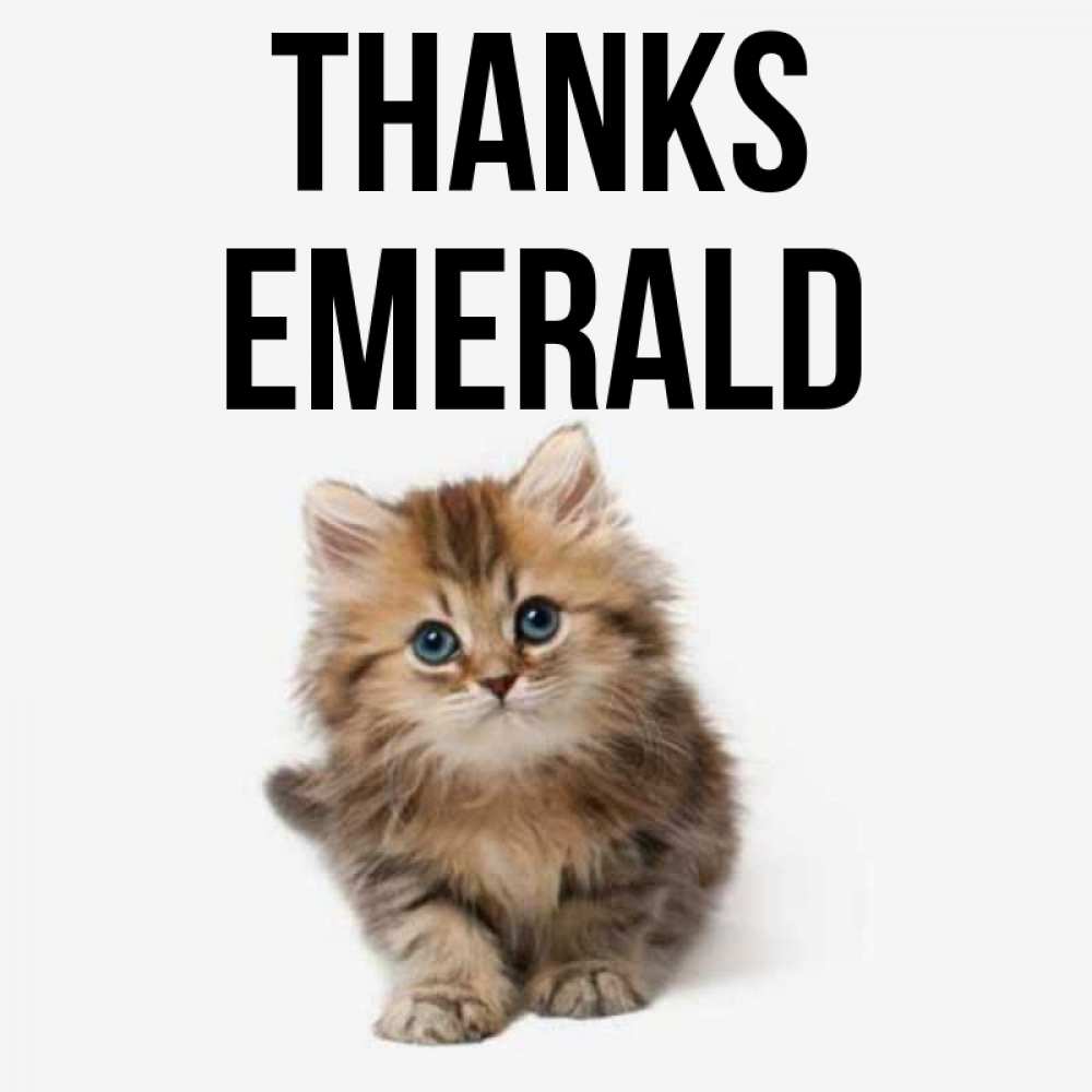 Greetings card с именем, Emerald Thanks пушистый котик Greetings with text for free download 