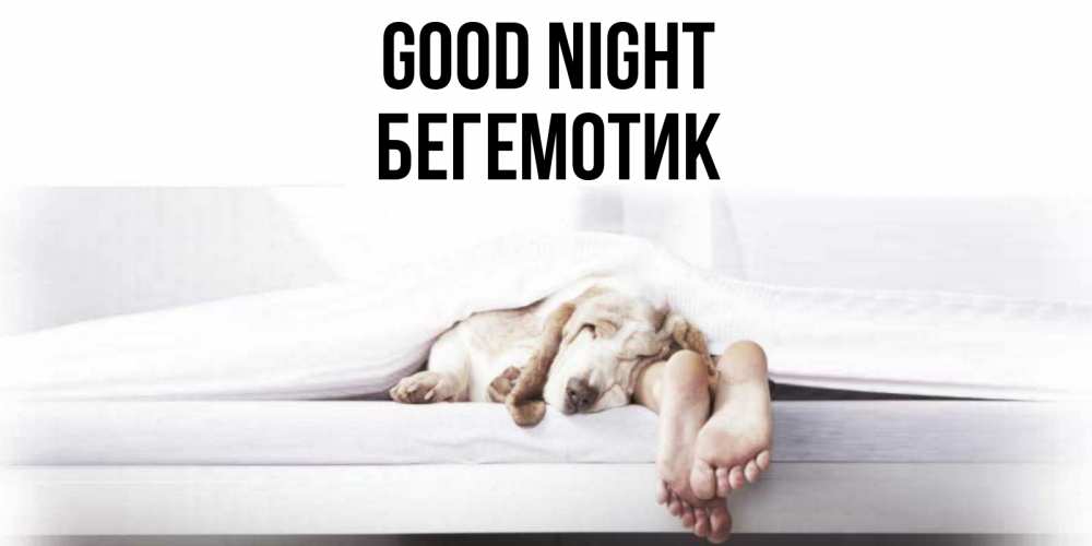 Greetings card с именем, Бегемотик Good night кровать с собакой пожелание сладких снов и спокойной ночи Greetings with text for free download 