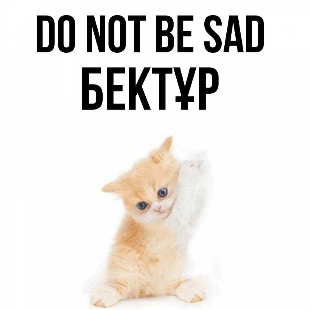 Greetings card с именем, Бектұр Do not be sad просящий кот Greetings with text for free download 