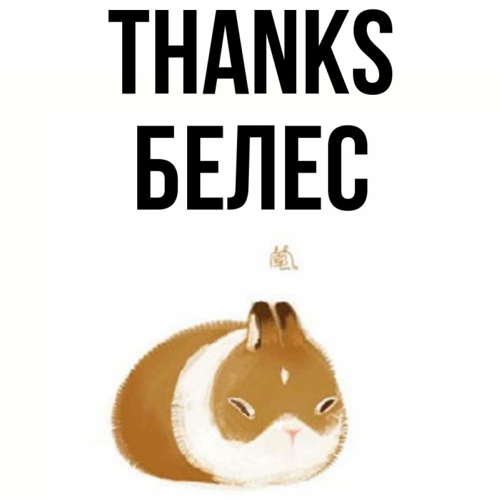 Greetings card с именем, Белес Thanks коричнево белый домашний питомец Greetings with text for free download 