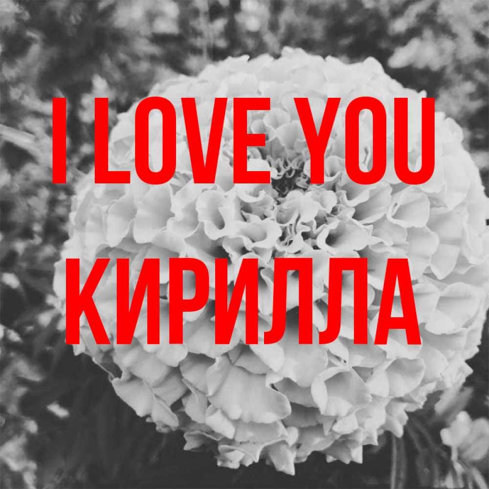 Greetings card с именем, Кирилла I love you подпись Greetings with text for free download 