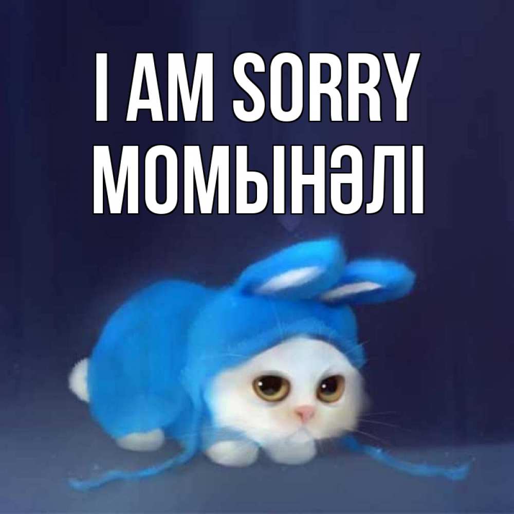 Greetings card с именем, МОМЫНӘЛІ I am sorry невинный котозай просит прощения Greetings with text for free download 