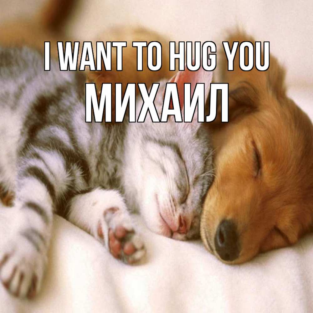 Greetings card с именем, Михаил I want to hug you пес и котенок Greetings with text for free download 