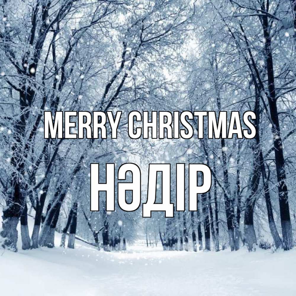 Greetings card с именем, НӘДІР Merry Christmas снег, лес, парк Greetings with text for free download 