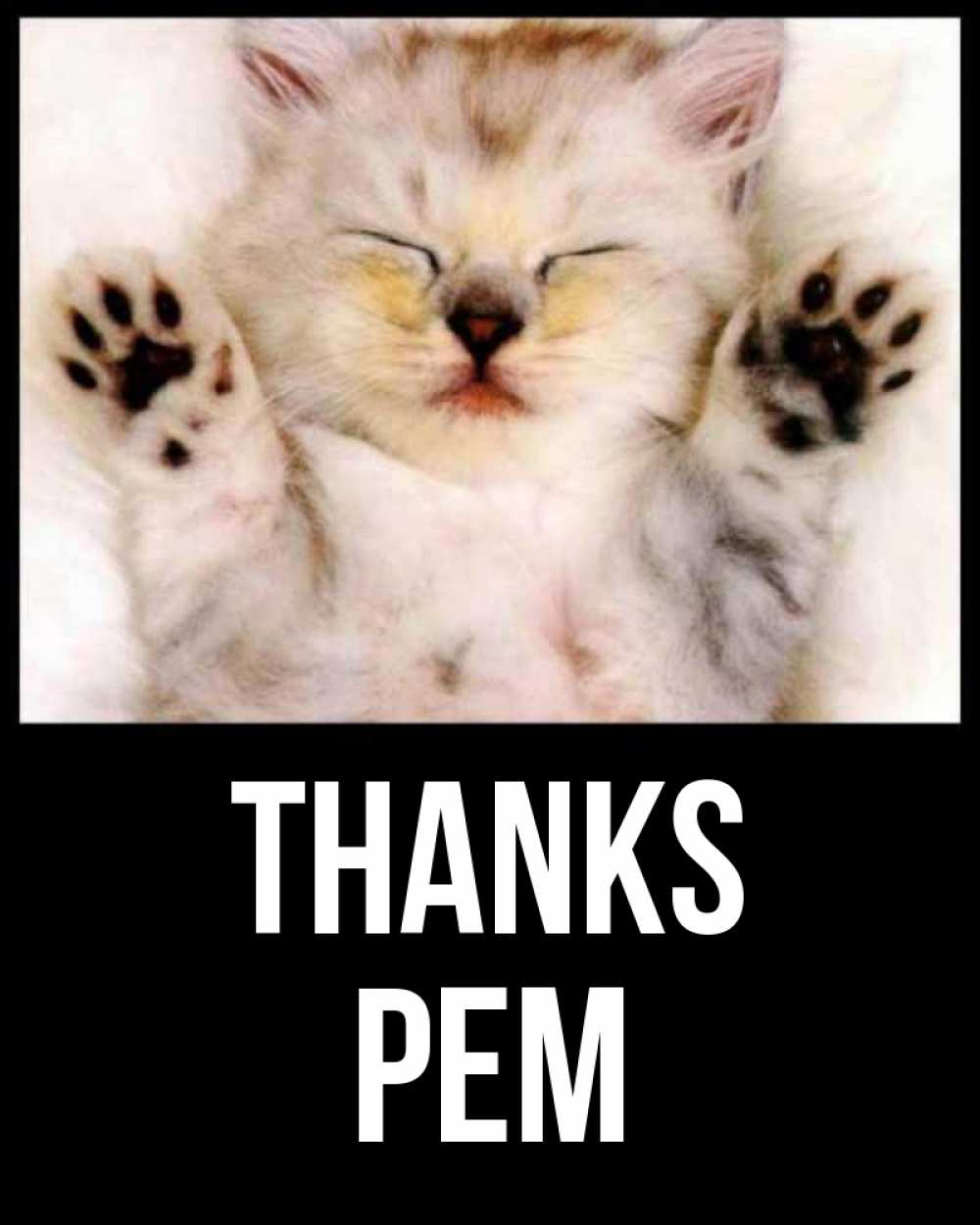 Greetings card с именем, Рем Thanks маленький котенок Greetings with text for free download 