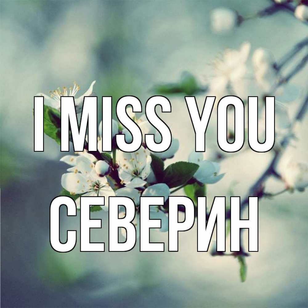 Greetings card с именем, Северин I miss you весна Greetings with text for free download 