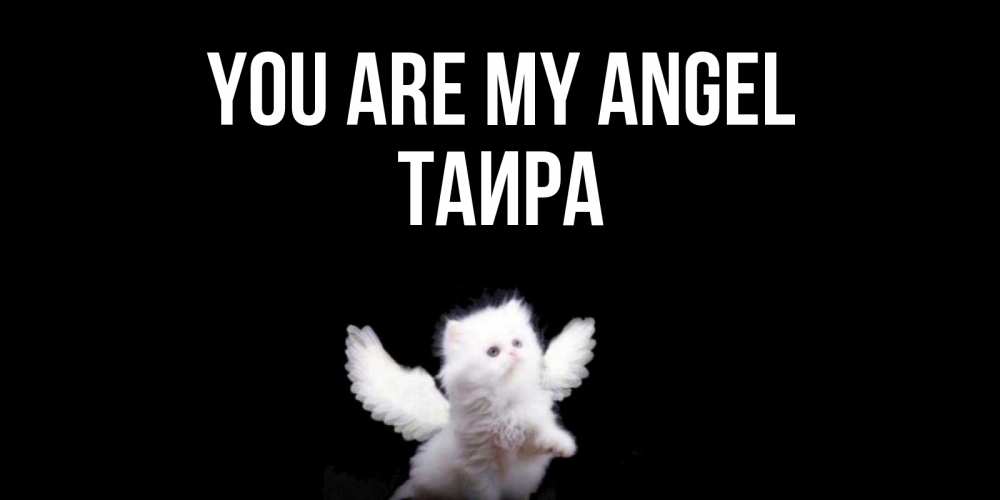 Greetings card с именем, Таира You are my angel Кот ангел Greetings with text for free download 
