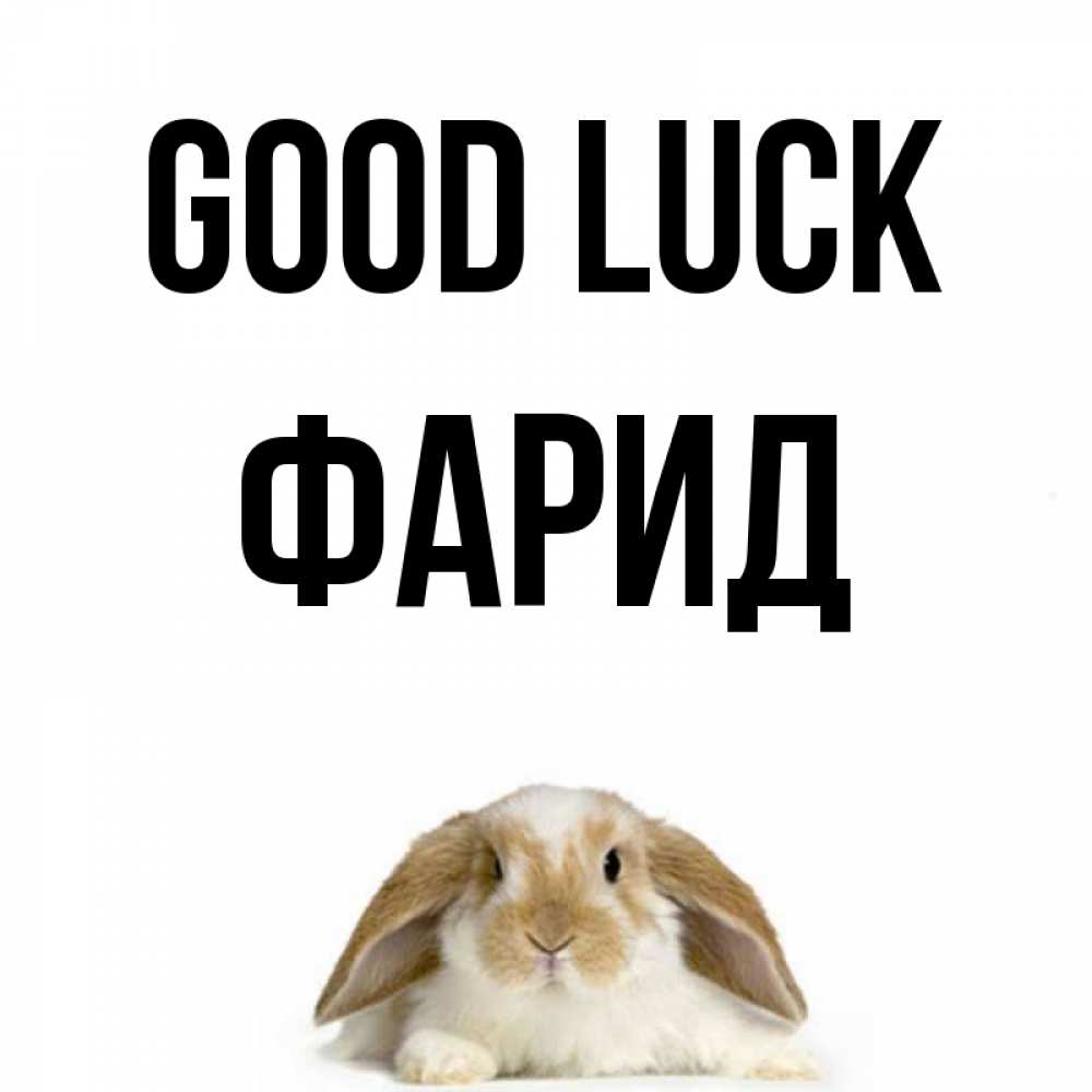 Greetings card с именем, ФАРИД Good luck открытки с произвольным текстом который можно вставить в открытку и создать ее самостоятельно бесплатно онлайн Greetings with text for free download 